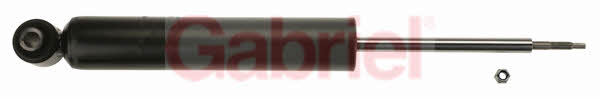 Gabriel G163005 Rear oil and gas suspension shock absorber G163005: Buy near me in Poland at 2407.PL - Good price!