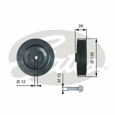 Gates TVD1010A Pulley crankshaft TVD1010A: Buy near me in Poland at 2407.PL - Good price!