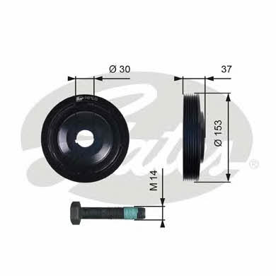 Gates TVD1035A Riemenscheibe kurbelwelle TVD1035A: Kaufen Sie zu einem guten Preis in Polen bei 2407.PL!