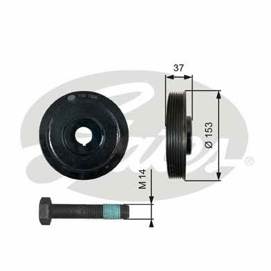 Gates TVD1006A Pulley crankshaft TVD1006A: Buy near me in Poland at 2407.PL - Good price!