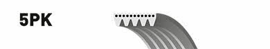 Buy Gates 5PK692SF – good price at 2407.PL!