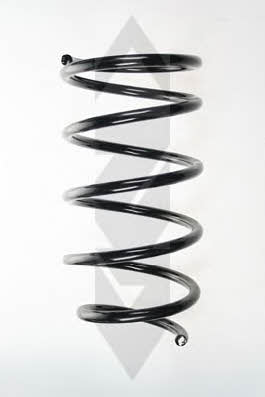 GKN-Spidan 56246 Suspension spring front 56246: Buy near me at 2407.PL in Poland at an Affordable price!