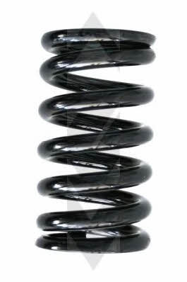 GKN-Spidan 55130 Suspension spring front 55130: Buy near me at 2407.PL in Poland at an Affordable price!