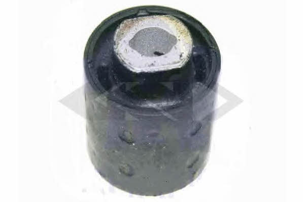 GKN-Spidan 411683 Silentblock rear beam 411683: Buy near me at 2407.PL in Poland at an Affordable price!