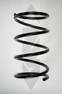 GKN-Spidan 55868 Suspension spring front 55868: Buy near me in Poland at 2407.PL - Good price!