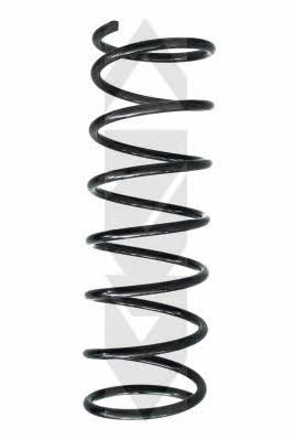 GKN-Spidan 48585 Suspension spring front 48585: Buy near me at 2407.PL in Poland at an Affordable price!