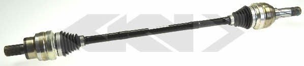 Купить GKN-Spidan 25496 – отличная цена на 2407.PL!