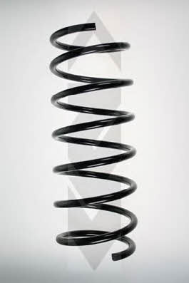 GKN-Spidan 49159 Suspension spring front 49159: Buy near me in Poland at 2407.PL - Good price!