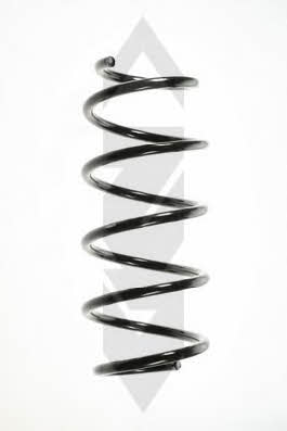 GKN-Spidan 55959 Coil Spring 55959: Buy near me at 2407.PL in Poland at an Affordable price!