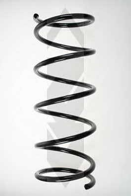 GKN-Spidan 49641 Suspension spring front 49641: Buy near me in Poland at 2407.PL - Good price!