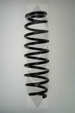 GKN-Spidan 55395 Suspension spring front 55395: Buy near me in Poland at 2407.PL - Good price!