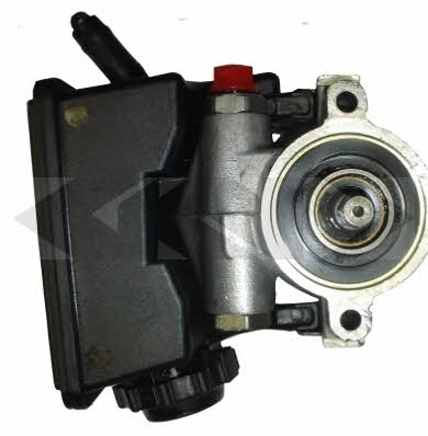 GKN-Spidan 54413 Hydraulic Pump, steering system 54413: Buy near me in Poland at 2407.PL - Good price!
