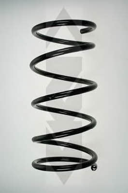 GKN-Spidan 56341 Coil Spring 56341: Buy near me in Poland at 2407.PL - Good price!