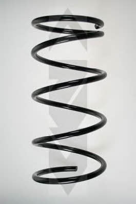 GKN-Spidan 56338 Coil Spring 56338: Buy near me in Poland at 2407.PL - Good price!