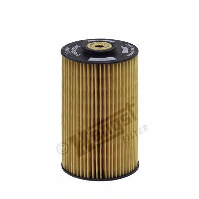 Hengst E10KP D10 Fuel filter E10KPD10: Buy near me at 2407.PL in Poland at an Affordable price!