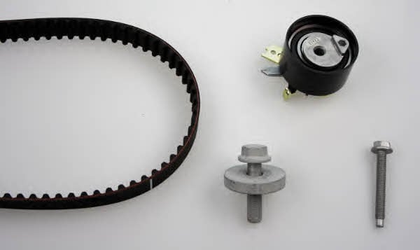 Hepu 20-1269-M12 Timing Belt Kit 201269M12: Buy near me at 2407.PL in Poland at an Affordable price!