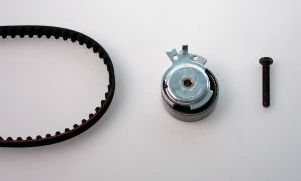 Hepu 20-1038 Timing Belt Kit 201038: Buy near me at 2407.PL in Poland at an Affordable price!