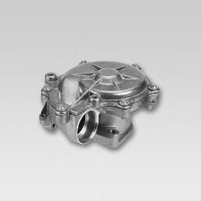 Hepu P482 Water pump P482: Buy near me in Poland at 2407.PL - Good price!