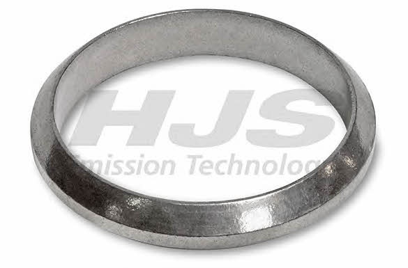 HJS Leistritz 83 12 1859 O-ring exhaust system 83121859: Buy near me in Poland at 2407.PL - Good price!