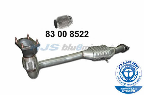 HJS Leistritz 96 15 3018 Catalytic Converter 96153018: Buy near me in Poland at 2407.PL - Good price!