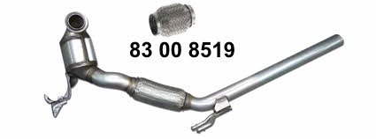 HJS Leistritz 90 11 3036 Catalytic Converter 90113036: Buy near me in Poland at 2407.PL - Good price!