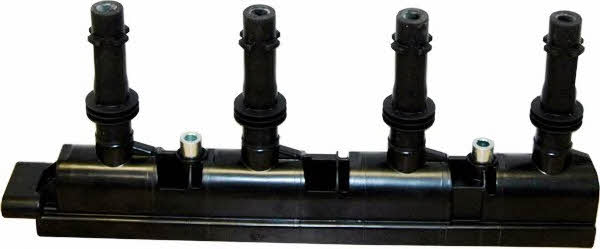 Hoffer 8010606 Ignition coil 8010606: Buy near me in Poland at 2407.PL - Good price!