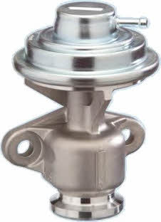 Hoffer 7518021 EGR Valve 7518021: Buy near me at 2407.PL in Poland at an Affordable price!