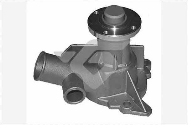 Hutchinson WP199 Water pump WP199: Buy near me in Poland at 2407.PL - Good price!