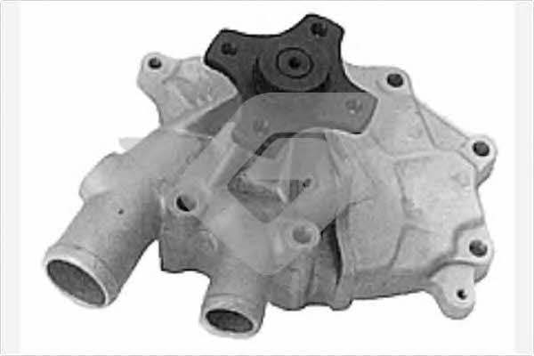Hutchinson WP287 Water pump WP287: Buy near me in Poland at 2407.PL - Good price!
