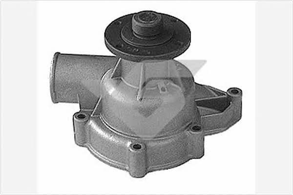 Hutchinson WP234 Water pump WP234: Buy near me in Poland at 2407.PL - Good price!