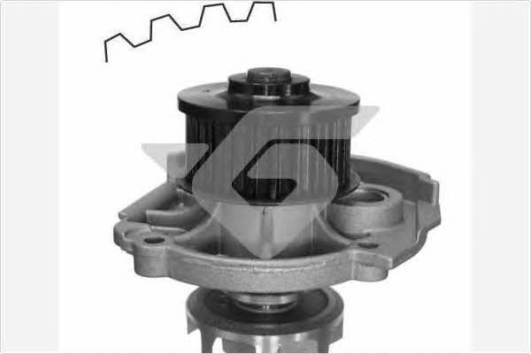Hutchinson WP39 Water pump WP39: Buy near me in Poland at 2407.PL - Good price!