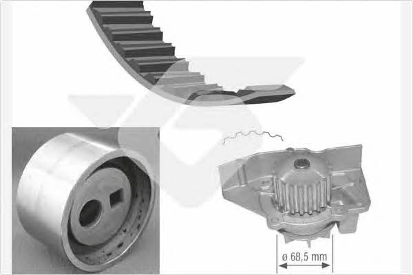 Hutchinson KH 278WP12 Steuerungseinrichtungsriemen, Satz mit Wasserpumpe KH278WP12: Kaufen Sie zu einem guten Preis in Polen bei 2407.PL!