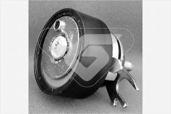Hutchinson HTG 160 Tensioner pulley, timing belt HTG160: Buy near me in Poland at 2407.PL - Good price!