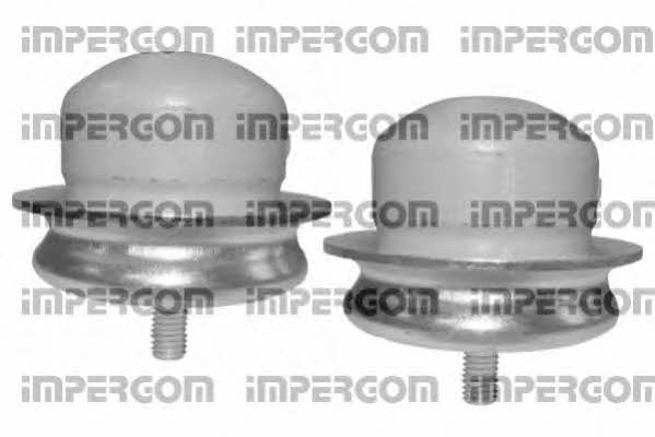 Impergom 50738 Dustproof kit for 2 shock absorbers 50738: Buy near me in Poland at 2407.PL - Good price!