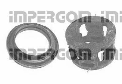Impergom 36869 Strut bearing with bearing kit 36869: Buy near me in Poland at 2407.PL - Good price!