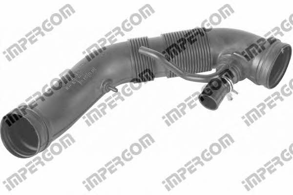 Impergom 221162 Air filter nozzle, air intake 221162: Buy near me in Poland at 2407.PL - Good price!