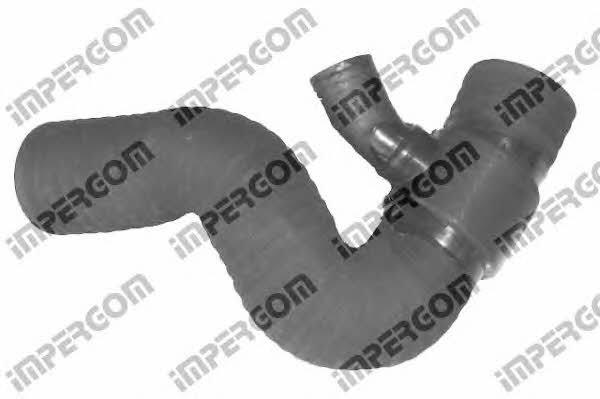Impergom 221865 Air filter nozzle, air intake 221865: Buy near me in Poland at 2407.PL - Good price!