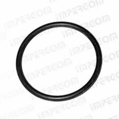 Impergom 27008 Gasket, water pump 27008: Buy near me in Poland at 2407.PL - Good price!