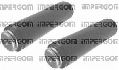 Impergom 50037 Пылезащитный комплект на 2 амортизатора 50037: Отличная цена - Купить в Польше на 2407.PL!