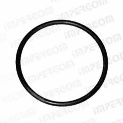 Impergom 27009 Gasket, water pump 27009: Buy near me in Poland at 2407.PL - Good price!