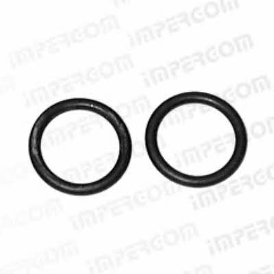 Impergom 27048 Shaft Seal, steering gear 27048: Buy near me in Poland at 2407.PL - Good price!