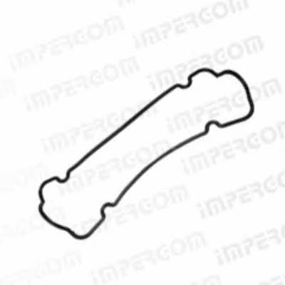 Impergom 47000 Gasket, cylinder head cover 47000: Buy near me in Poland at 2407.PL - Good price!