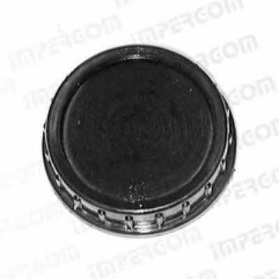 Impergom 29652 Fuel Door Assembly 29652: Buy near me in Poland at 2407.PL - Good price!