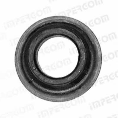 Impergom 26904 Differential gasket 26904: Buy near me in Poland at 2407.PL - Good price!