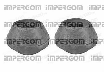 Impergom 50640 Dustproof kit for 2 shock absorbers 50640: Buy near me in Poland at 2407.PL - Good price!