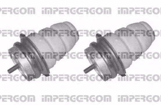 Impergom 50679 Dustproof kit for 2 shock absorbers 50679: Buy near me in Poland at 2407.PL - Good price!