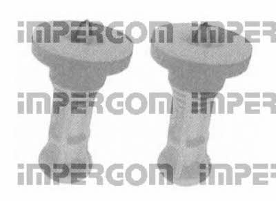 Impergom 50483 Dustproof kit for 2 shock absorbers 50483: Buy near me at 2407.PL in Poland at an Affordable price!