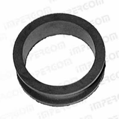 Impergom 26953 Air filter housing gasket 26953: Buy near me in Poland at 2407.PL - Good price!