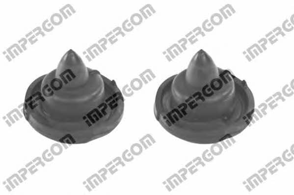 Impergom 50479 Dustproof kit for 2 shock absorbers 50479: Buy near me in Poland at 2407.PL - Good price!