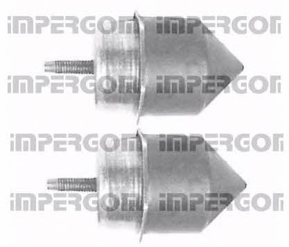Impergom 50243 Dustproof kit for 2 shock absorbers 50243: Buy near me in Poland at 2407.PL - Good price!